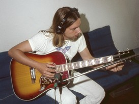 g Peter guitar color 2802.jpg